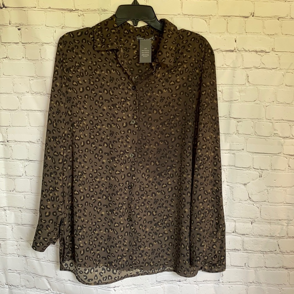 Dressy Blouse